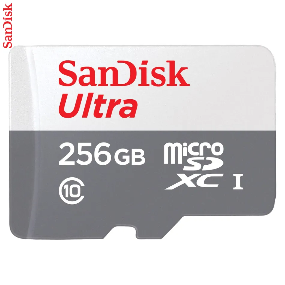 SanDisk Ultra microSDXC 256 GB 100 MB/s Class 10 UHS-I