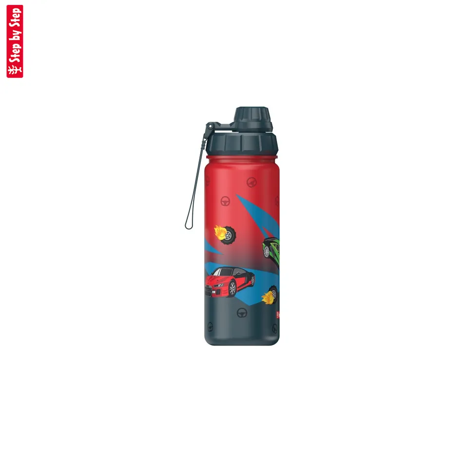 Izolovaná fľaška na nápoj z nerezovej ocele Step by Step 0,5 l, Car