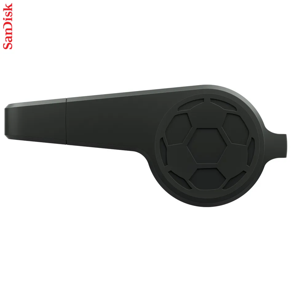 SanDisk Flash Drive 