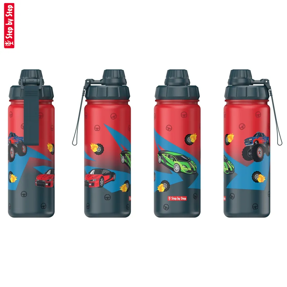 Izolovaná fľaška na nápoj z nerezovej ocele Step by Step 0,5 l, Car