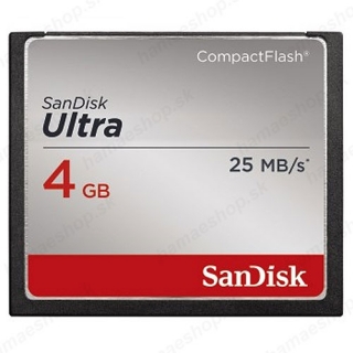 Compact Flash 4GB SanDisk