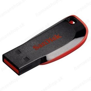 SanDisk USB kľúč 4GB
